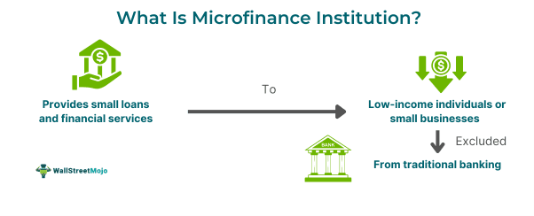 Microfinance Institution