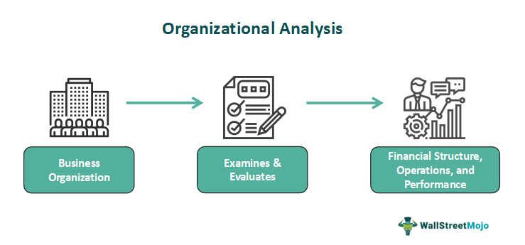 Organizational Analysis