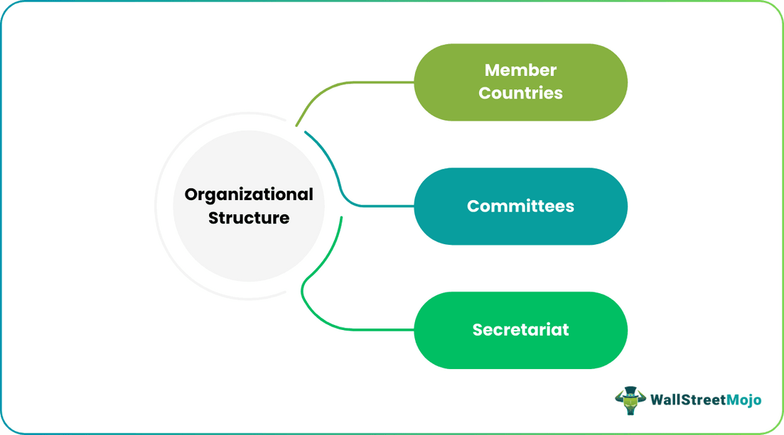 Organizational Structure of OECD