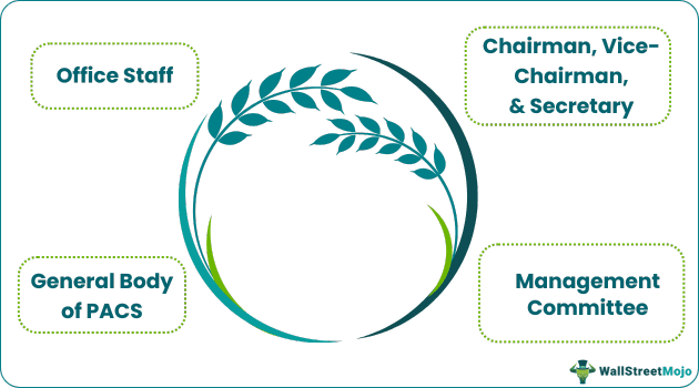 Organizational Structure of PACS