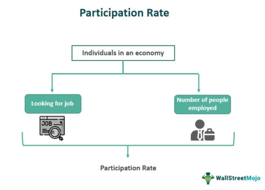 Participation Rate