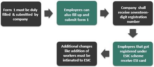 Process and Procedure of ESI