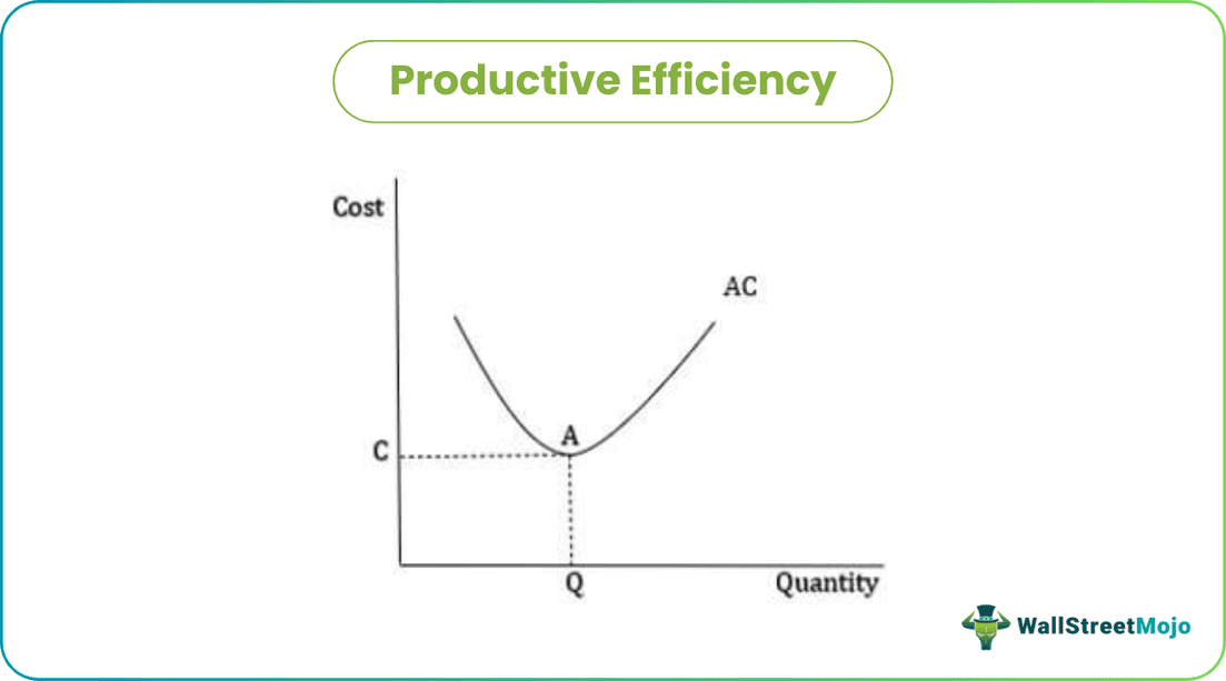 Productive Efficiency
