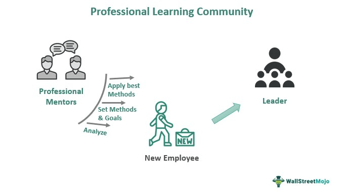 Professional Learning Community