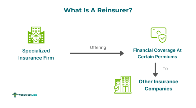 Reinsurer.png