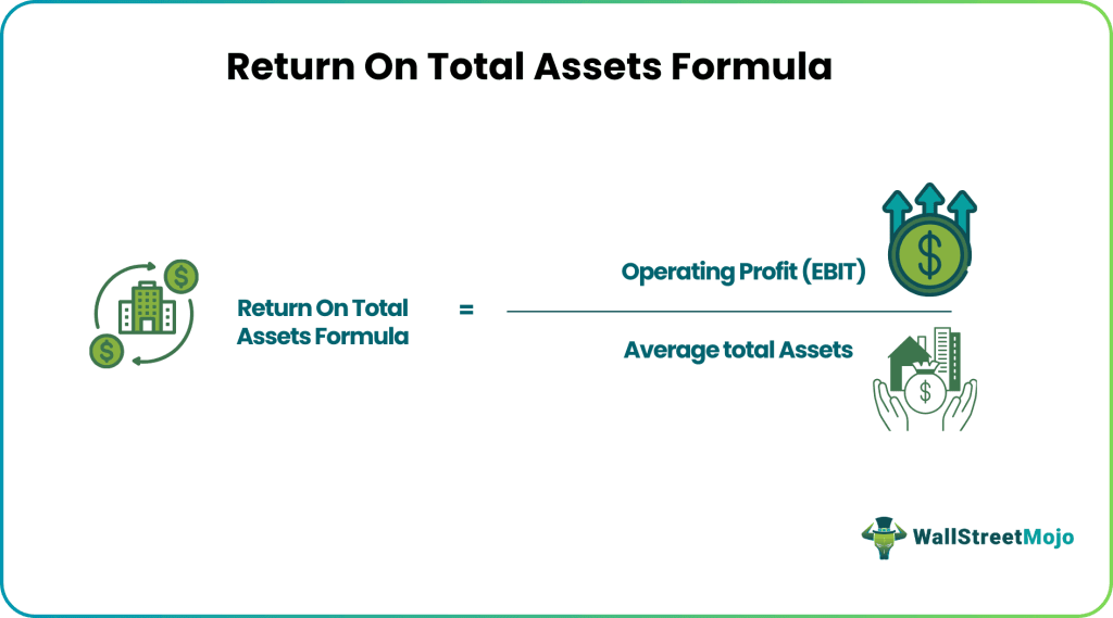 Return On Total Assets Formula