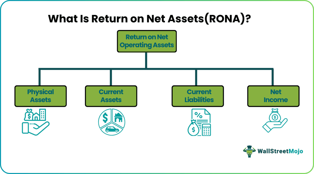 Return on Net Assets