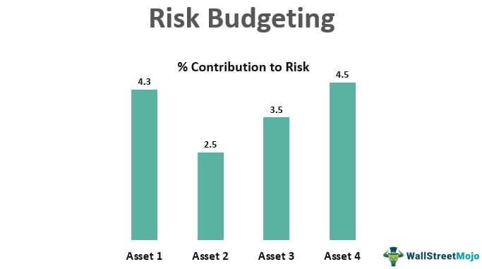 Risk Budgeting