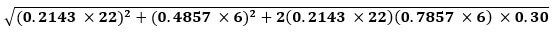 Risk-Parity-SD-Formula - Portfolio