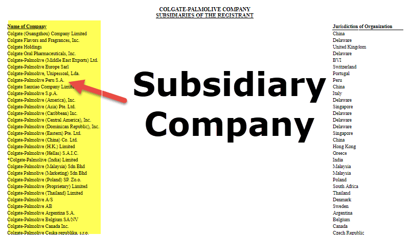 Subsidiary Company Meaning Examples Features Accounting