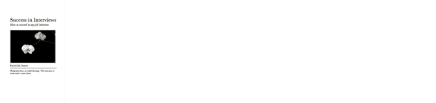 Success in Interview.png