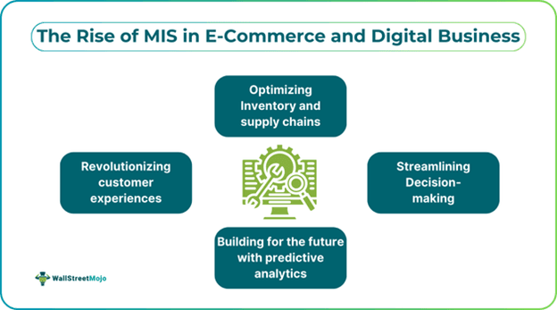 The Rise Of MIS In E-Commerce And Digital Business