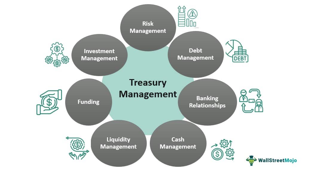 Treasury Management Meaning.jpg