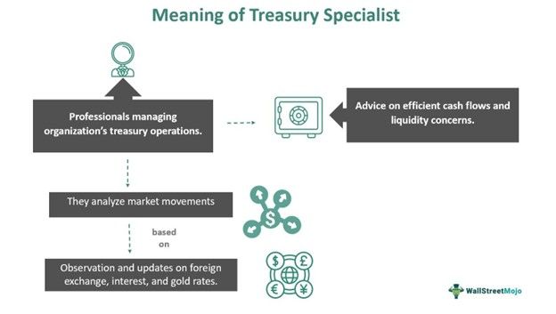 Treasury Specialist