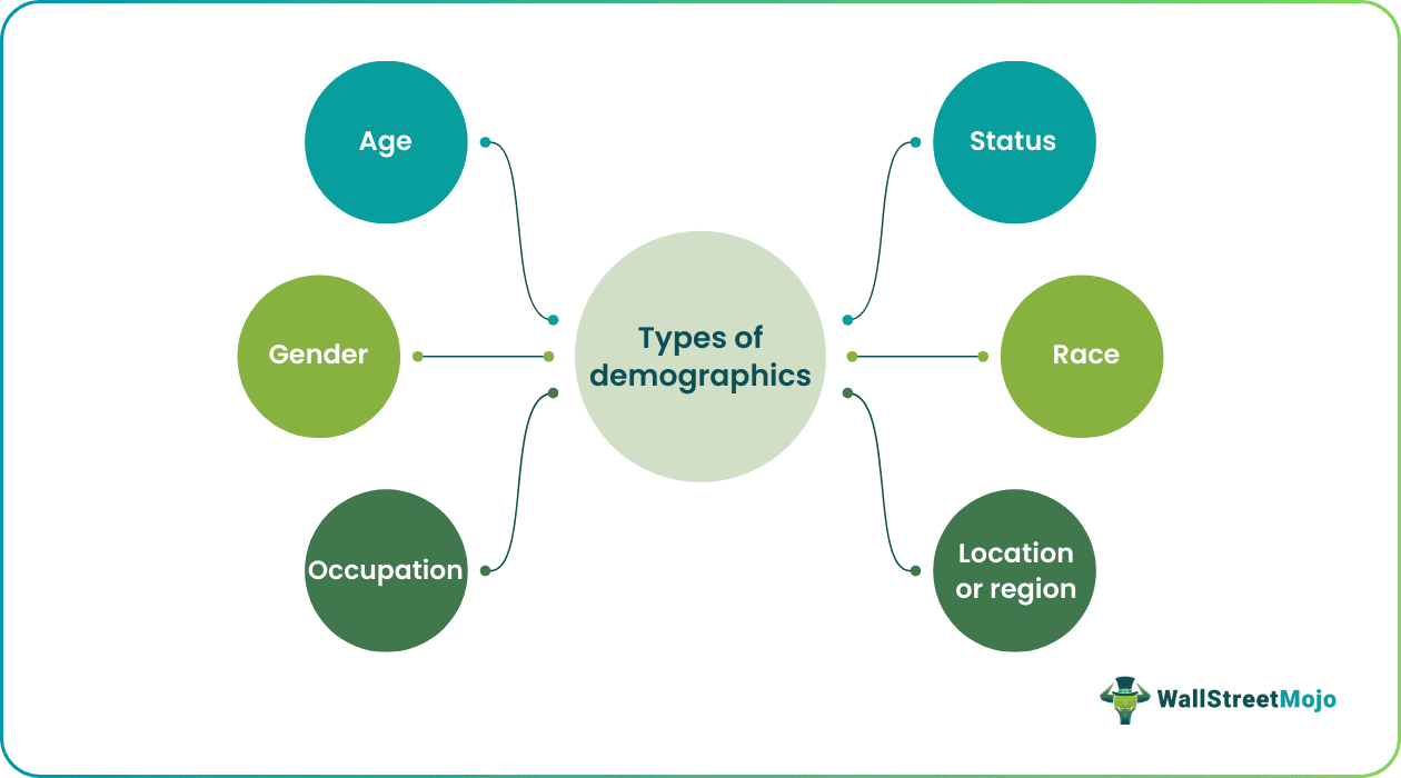 Types Of Demographics