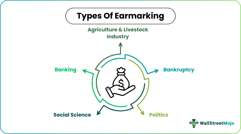 Types of Earmarking