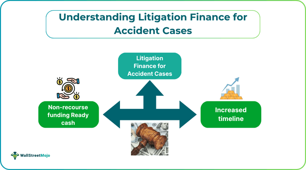 Understanding Litigation Finance