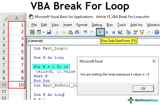 VBA Break For Loop