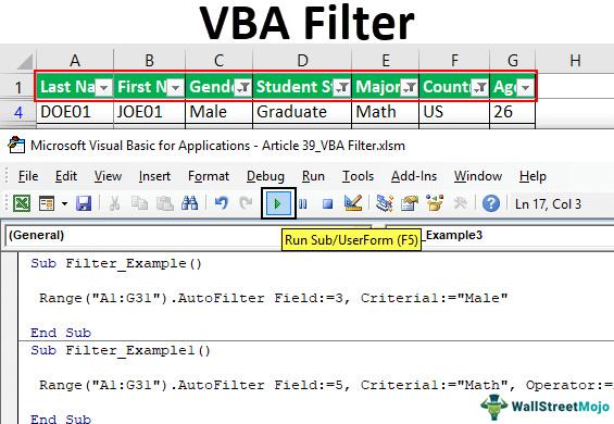 VBA Filter Data