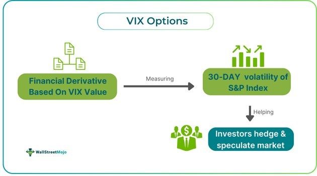 VIX Option.jpg