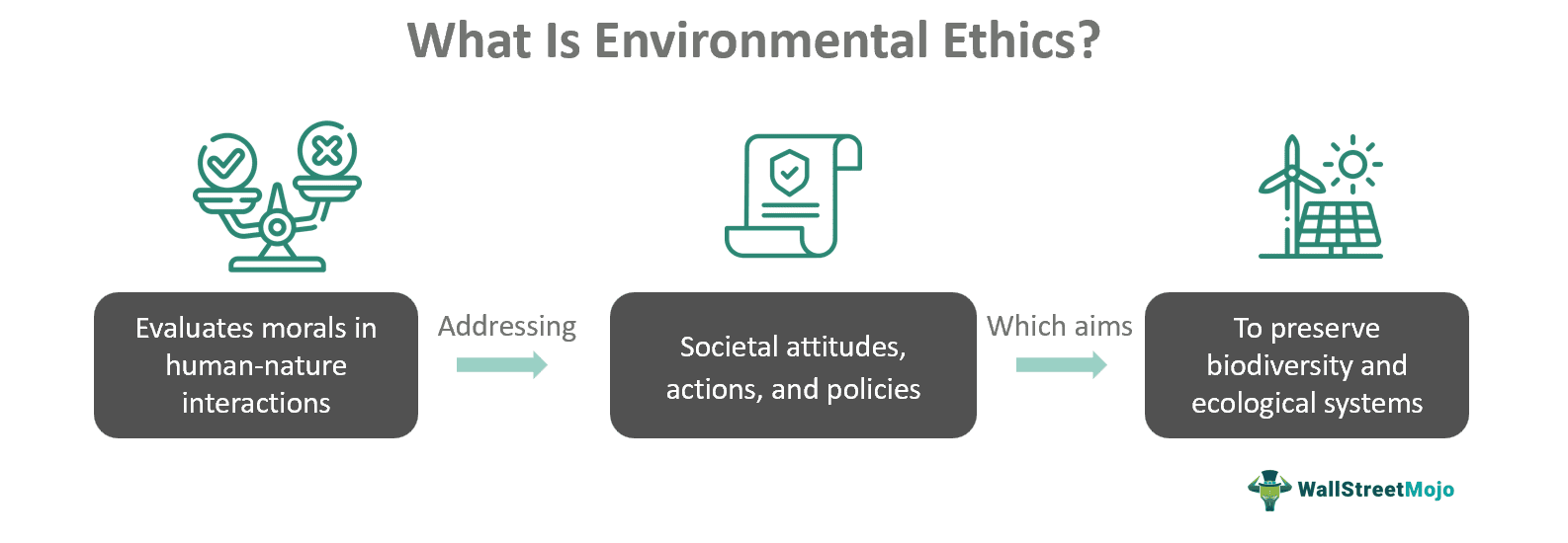 What Is Environmental Ethics