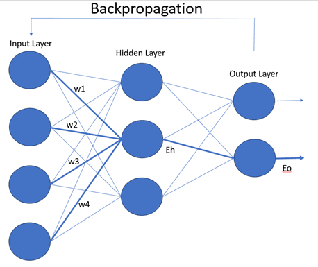 backpropagation algorithm