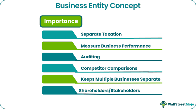 business entity concept Importance