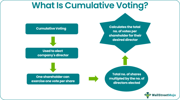 cumulative voting