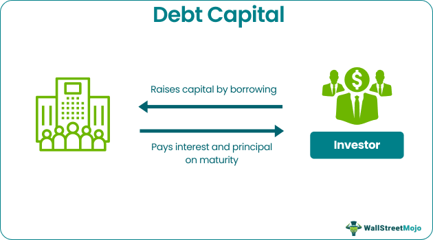 Debt Capital - What Is It, Examples, Types, Vs Equity Capital